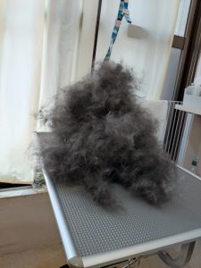 20260427_130557~2_copy_3000x4000