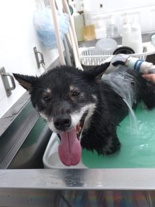 20260427_131727_copy_2018x2690