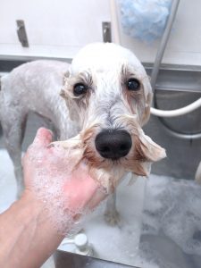 20260427_161548_copy_2533x3378_1