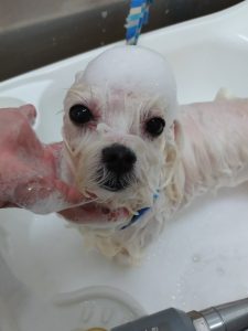 20260427_174516_copy_2880x3840