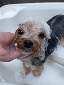 20260427_184814_copy_2400x3200_1