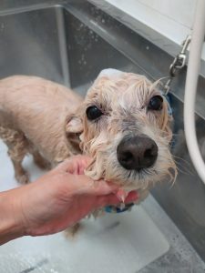 20260428_114054_copy_2700x3600