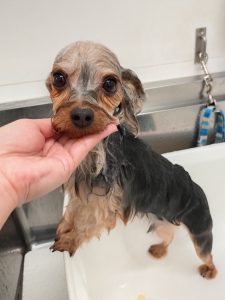 20260428_142250_copy_2914x3885