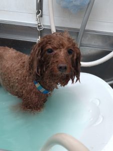 20260428_180420_copy_1892x2522