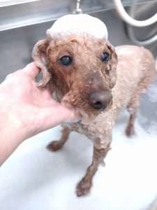 20260430_112050~2_copy_2503x3337