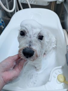 20260430_144819~2_copy_2748x3664