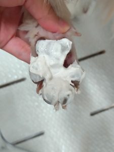 20260515_101358_copy_2606x3475
