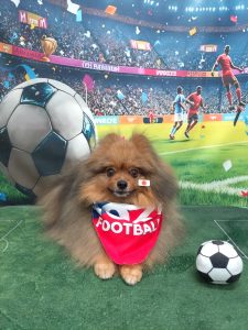 20260707_103941_copy_3000x4000