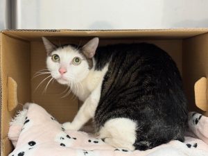 A1479BD9-298E-42FA-94A8-5F98963C229F