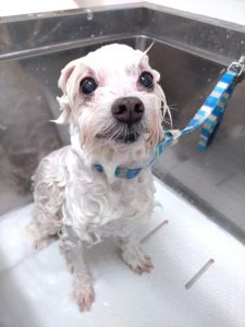 DSC_0000_BURST20251101145451266_COVER_copy_3000x4000