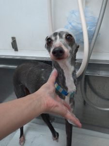 DSC_0000_BURST20251115085152435_COVER_copy_2479x3306_1