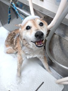 DSC_0000_BURST20260115163022623_copy_2700x3600