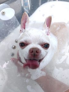 DSC_0000_BURST20260425160300842_COVER_copy_2446x3262_1