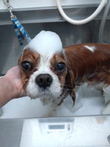 DSC_0001_BURST20260305161450561_copy_2676x3568