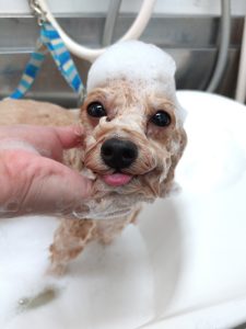 DSC_0002_BURST20251031143330200_copy_2700x3600_1