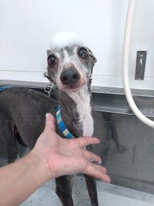 DSC_0002_BURST20260411084554374_COVER_copy_2508x3344