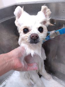 DSC_0002_BURST20260420151126821_copy_2681x3575