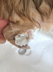 IMG_0089