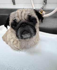 IMG_0892