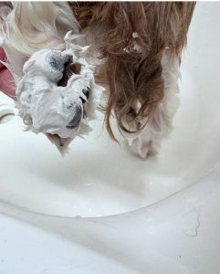 IMG_2501