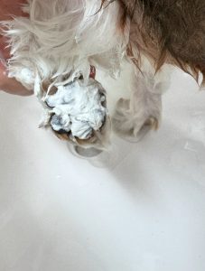 IMG_3984