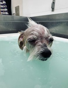IMG_4069