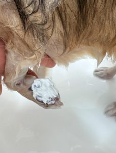 IMG_4572