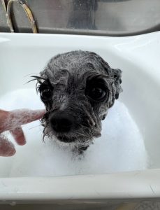IMG_5180
