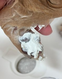 IMG_5719