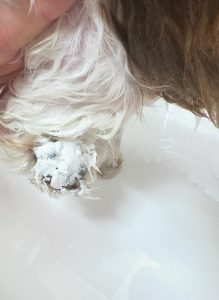 IMG_7750