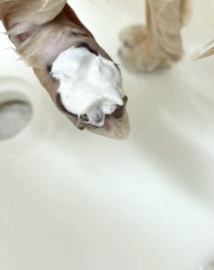 IMG_8551