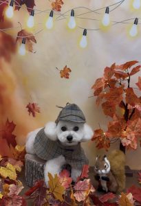 IMG_8574