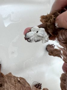 IMG_9201
