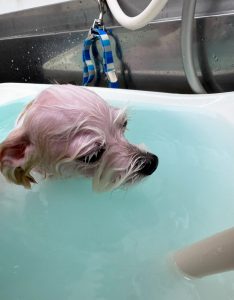 IMG_9395
