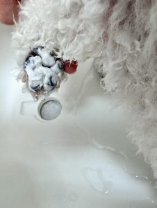 IMG_9598
