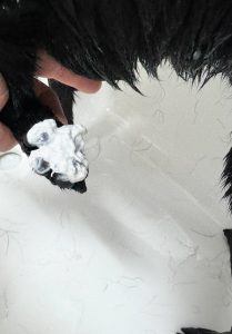 IMG_9705