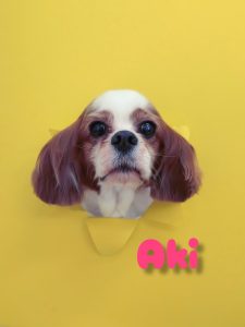 InShot_20260420_213504994_copy_2796x3727