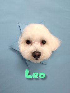 InShot_20260420_213738999_copy_2888x3850