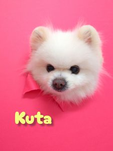 InShot_20260420_215509321_copy_3072x4096