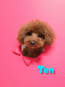 InShot_20260420_215944457_copy_3074x4096