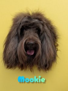 InShot_20260421_222054230_copy_2284x3044