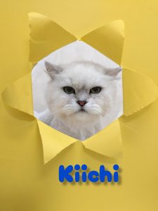 InShot_20260421_224553614_copy_3072x4096