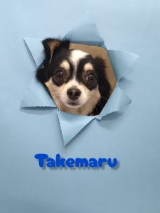 InShot_20260423_094935749_copy_3072x4096