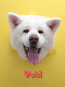 InShot_20260423_220001912_copy_2586x3448