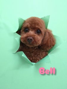 InShot_20260423_223858670_copy_3076x4096