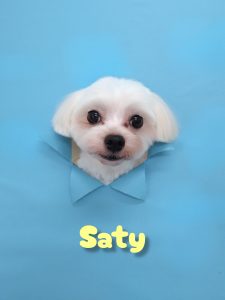 InShot_20260424_203642275_copy_3155x4207