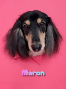 InShot_20260424_204844904_copy_2883x3840