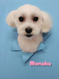 InShot_20260424_211540077~2_copy_2359x3143