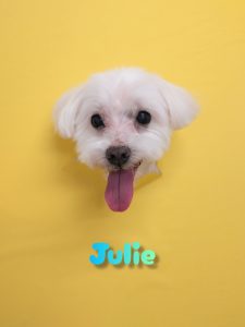 InShot_20260425_225340159_copy_2562x3416