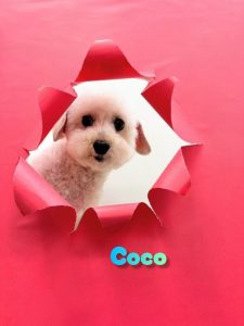 InShot_20260425_230850386_copy_2453x3268